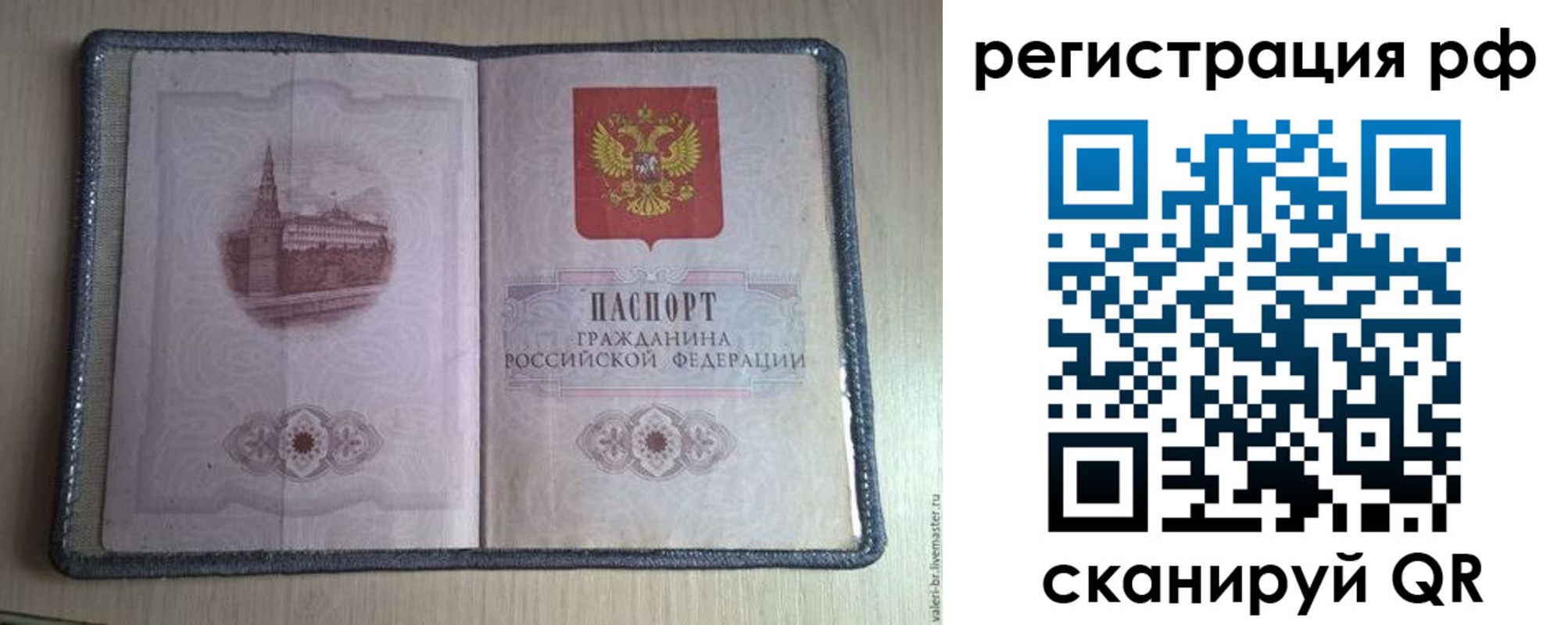 прописка поиск в Мурманске